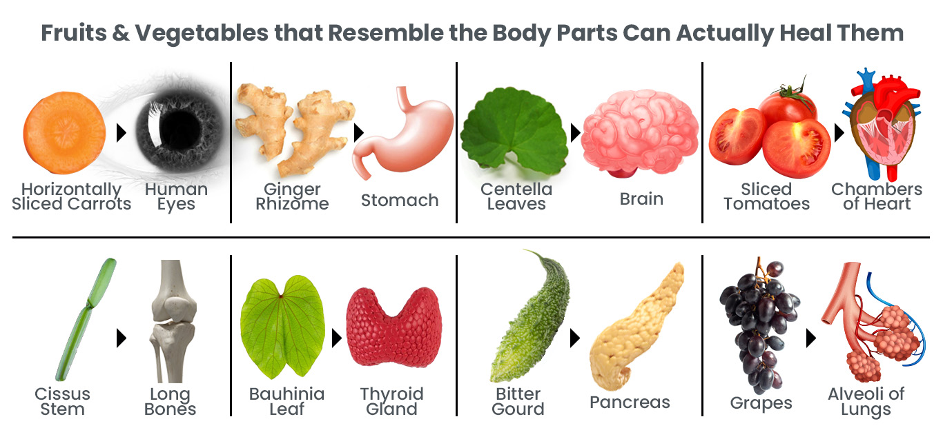 foods that look like body parts