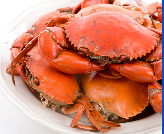 Shellfish allergy is one of the most common food allergies.