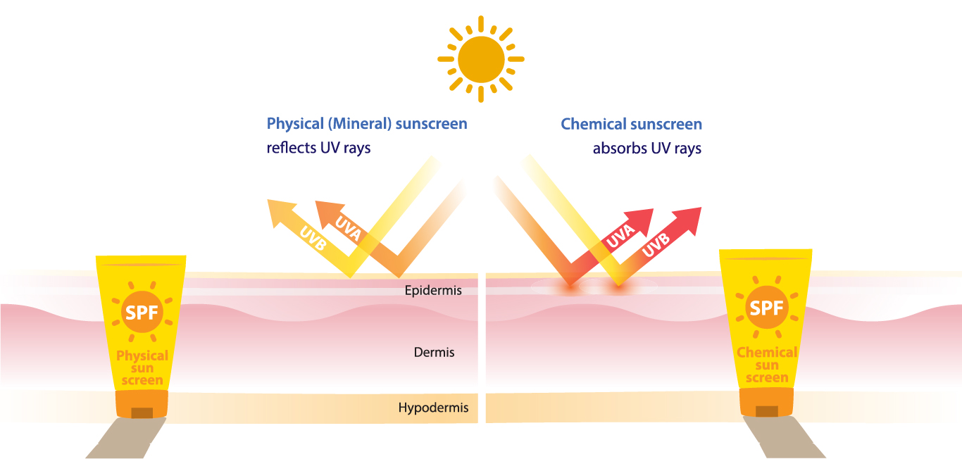 physical sunscreen v/s chemical sunscreen