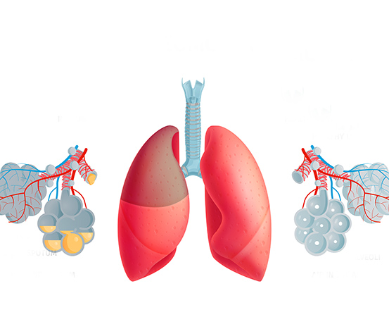 Pulmonary lung function test