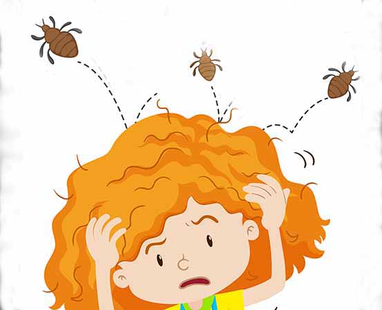 How to get rid of head lice in children