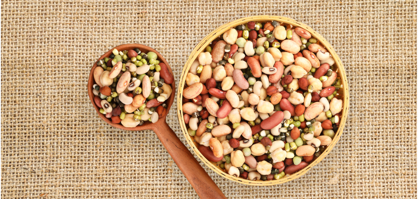 soaked pulses in a bowl