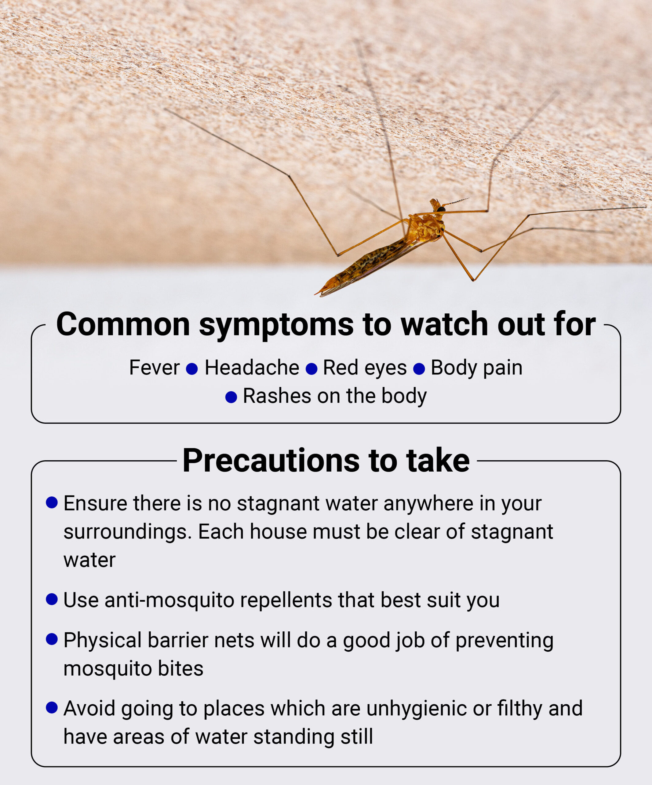 Zika symptoms and prevention