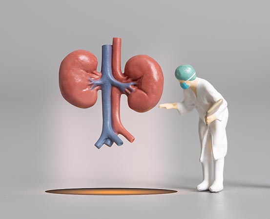 If the hemoglobin levels don’t improve with iron medications, doctors suggest a kidney function test