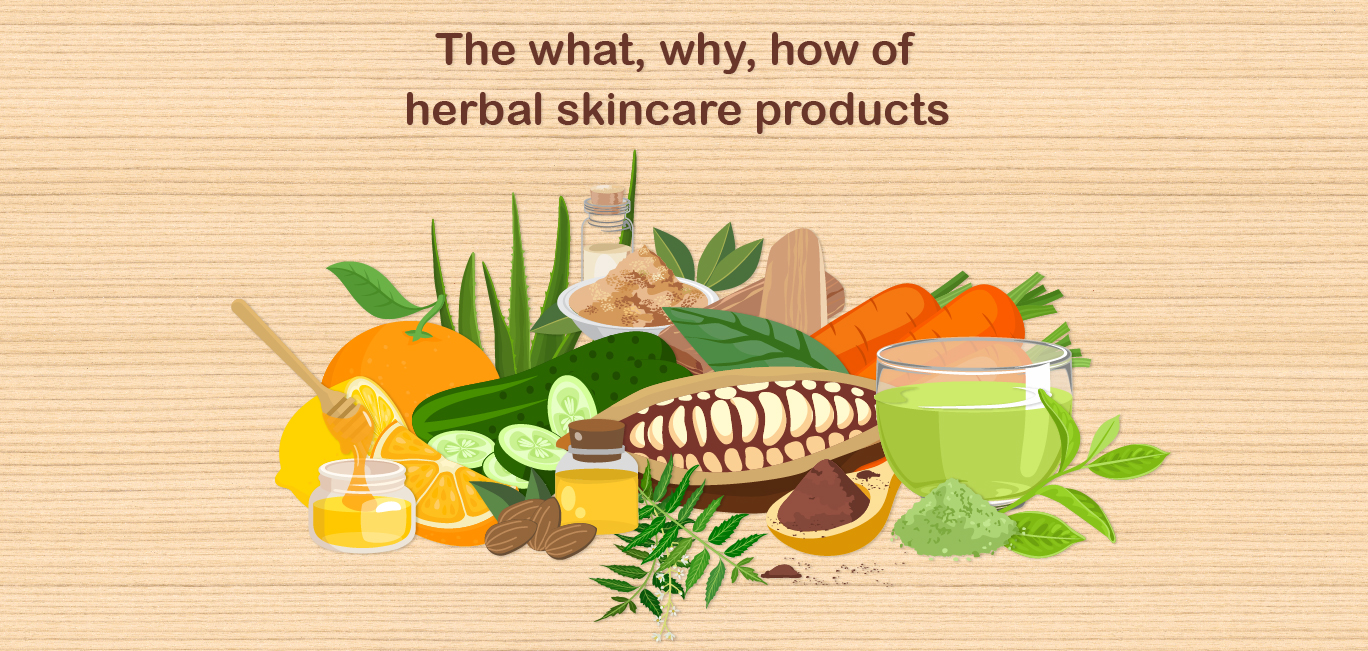 An illustration displaying herbal ingredients used in skincare products
