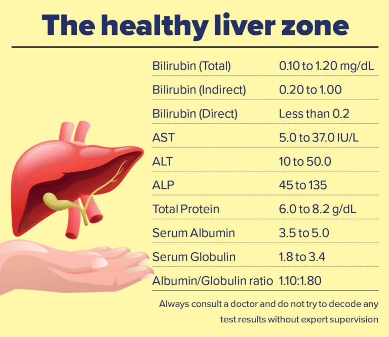 literature review on liver function test