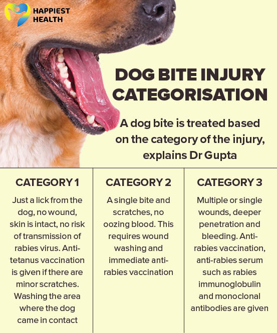Be it a dog bite or scratch, anti-rabies vaccination is essential -  Happiest Health