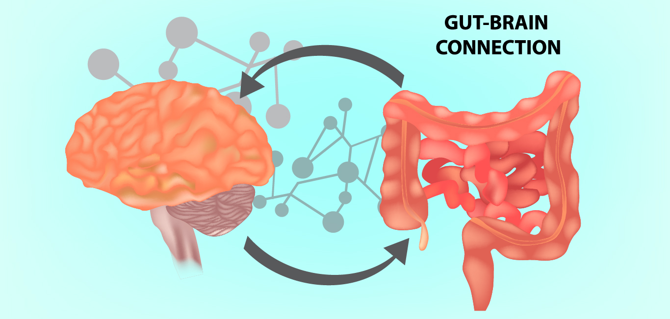 Stroke and leaky gut 
