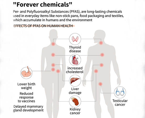 ‘Forever chemicals’, or PFAS, have been linked to several types of cancers, cardiovascular disease, fertility problems and developmental disorders in children