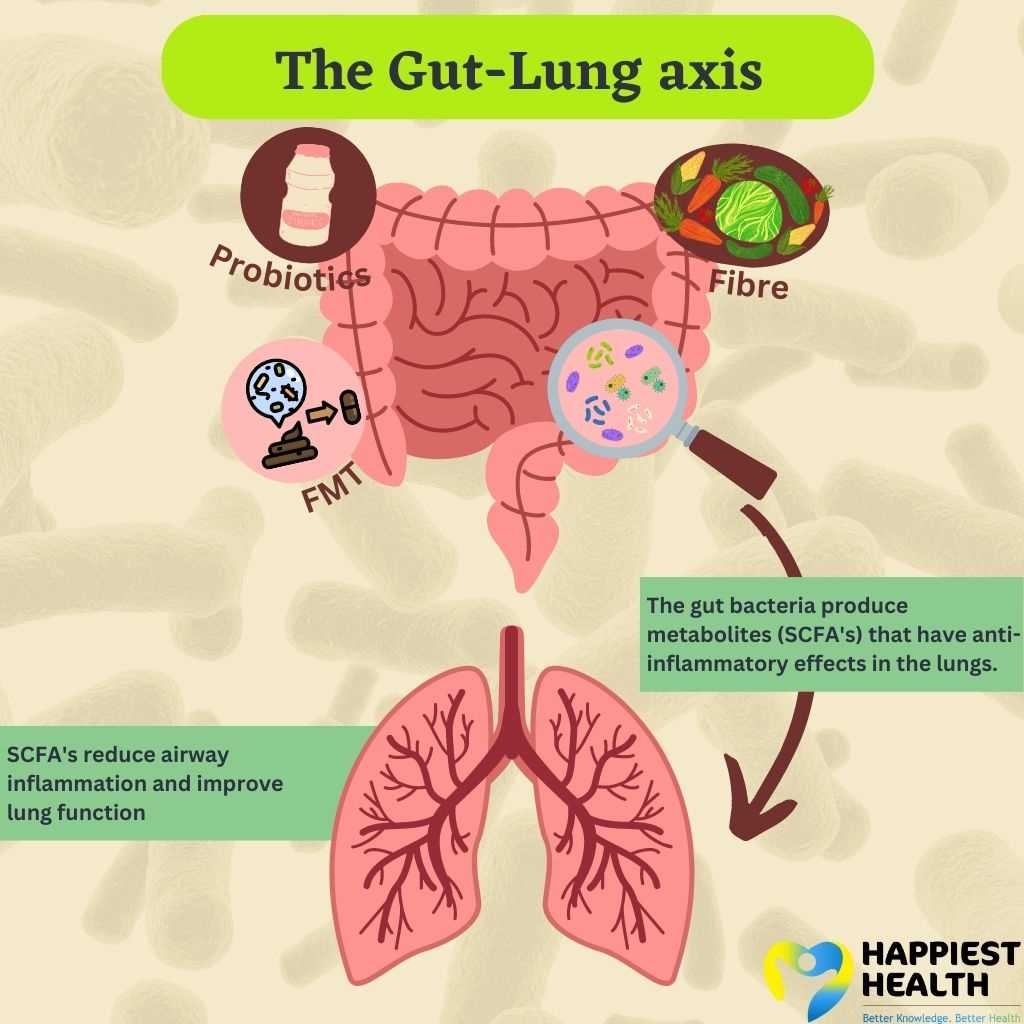 Gut-lung axis infographic