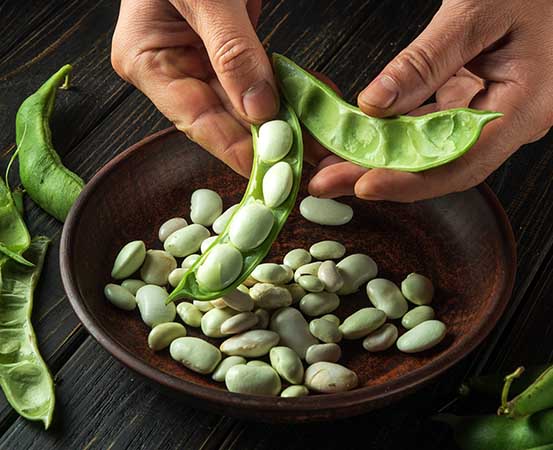 Inclusion of beans in the daily diet is a reliable way to control blood glucose