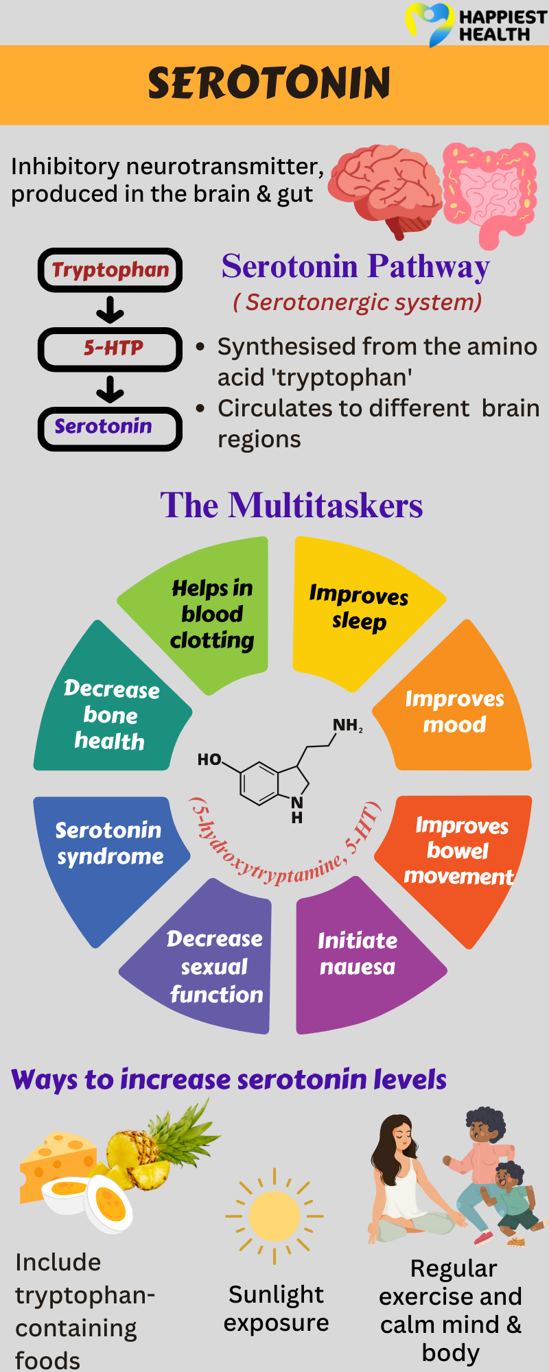 A peek into the diverse role of serotonin 