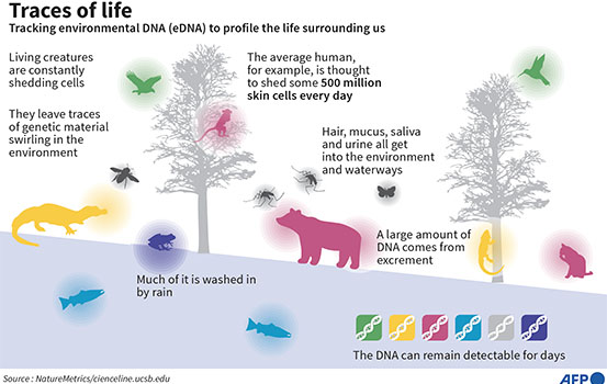 Tracking environmental DNA to profile life