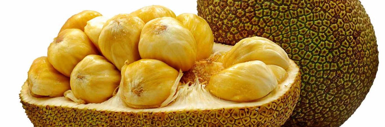 Jackfruit for diabetes? Yes, but only if you keep it raw
