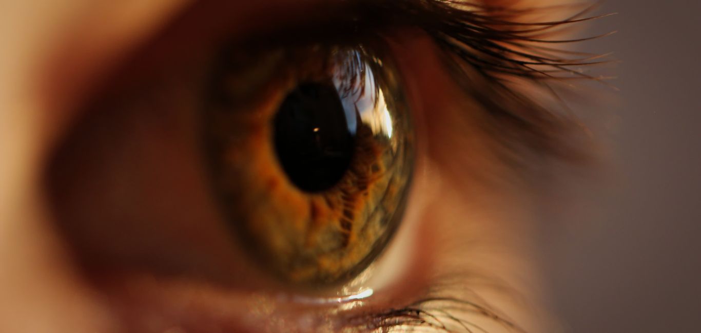 Close up picture of the eye | age-related macular degeneration