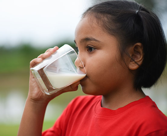 Milk, which is considered a complete food, should be an indispensable part of a child's diet