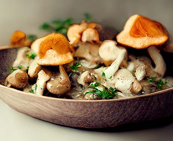 Mushrooms are a good option for people with diabetes as they have a low glycemic index and are packed with essential nutrients