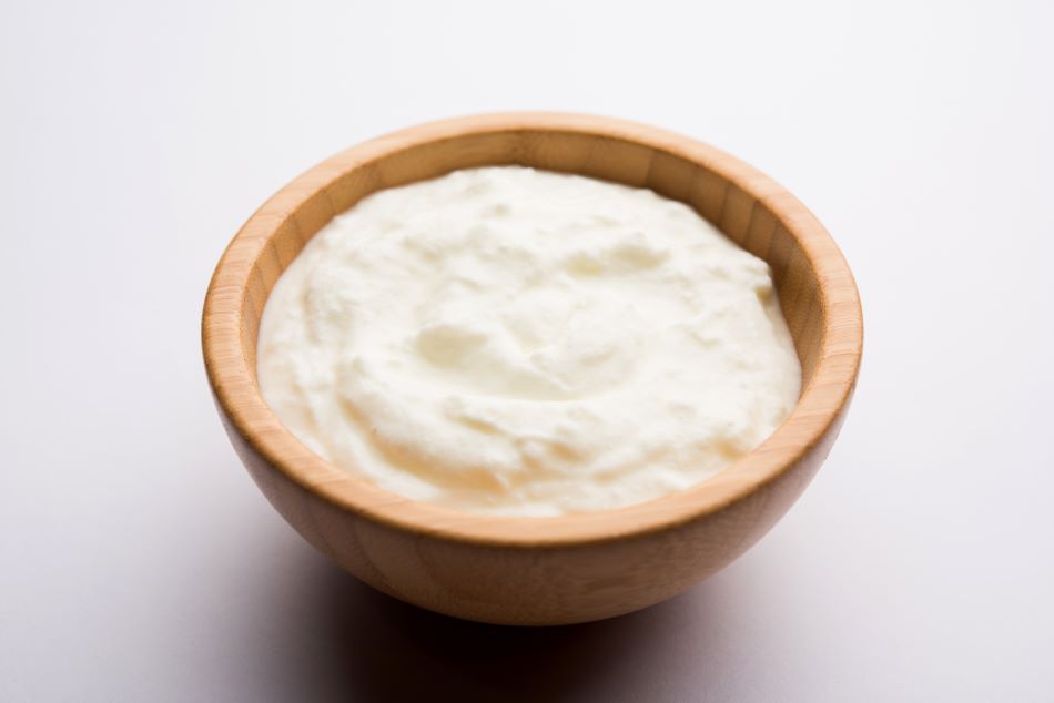 Lactobacillus is a common curd bacteria that provides plenty of health benefits