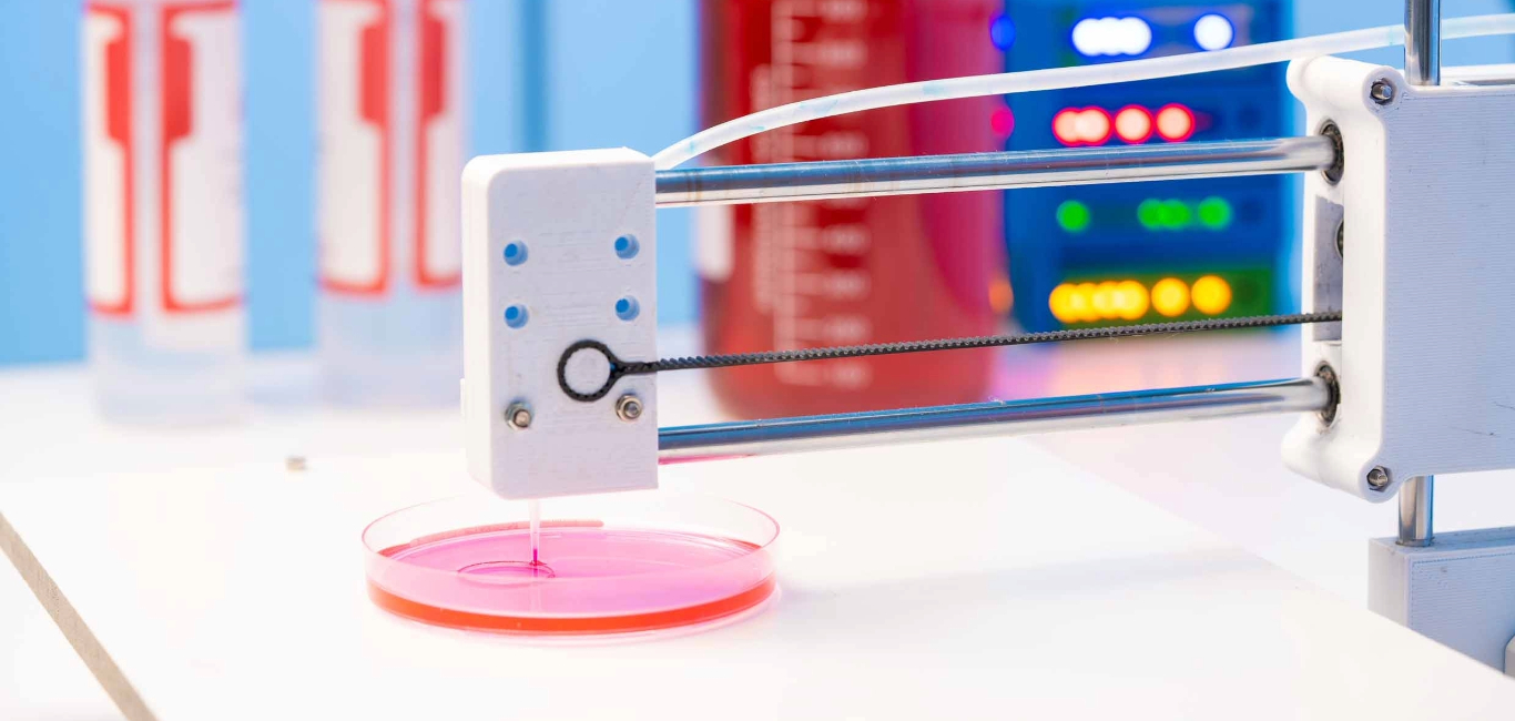 Researchers have developed a new bioink that enhances 3D bioprinting of skeletal muscles 