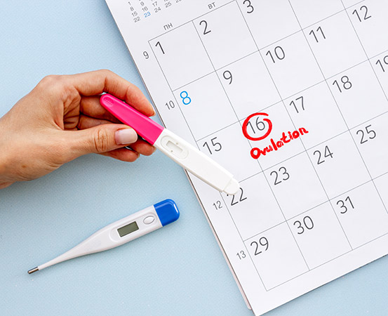 An ovulation kit can help you determine your most fertile window in a menstrual cycle.