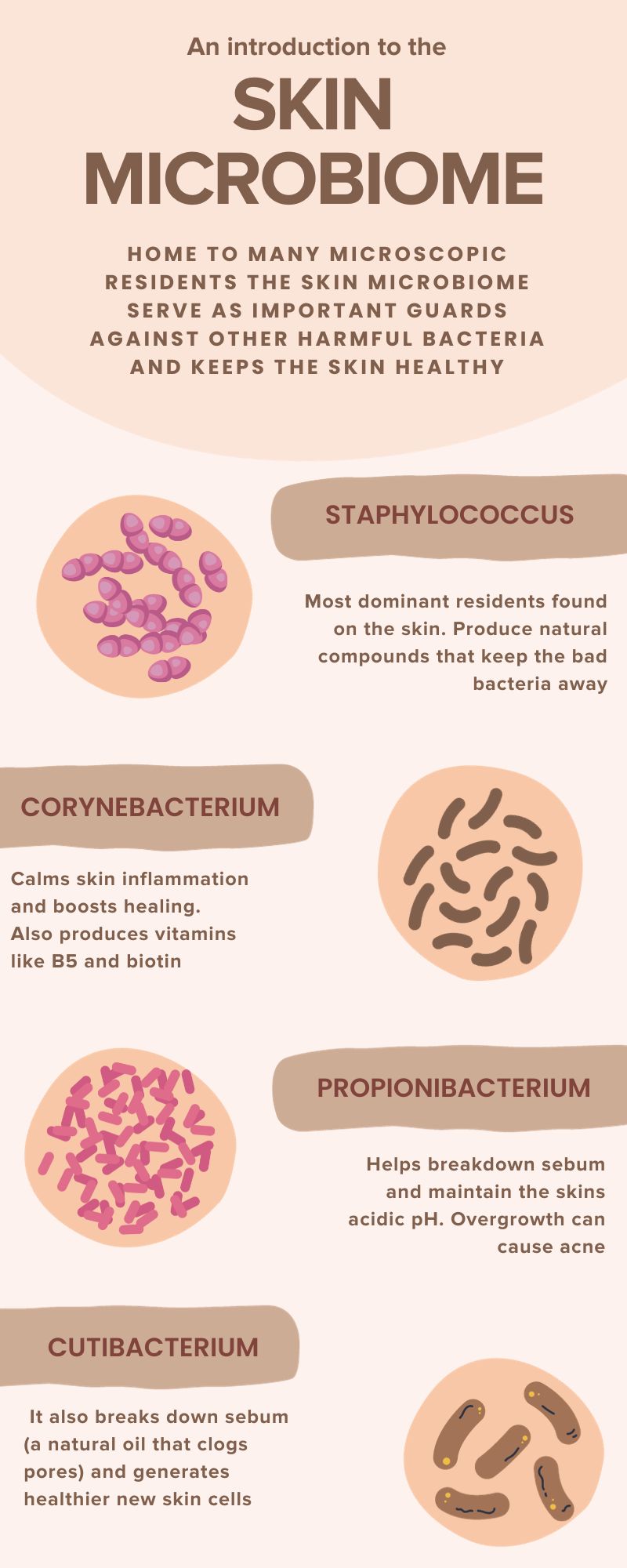 Skin microbiome