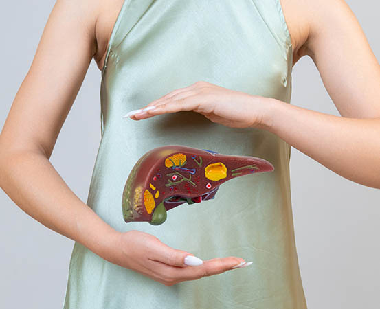 Liver is a multitasking organ involved in different physiological activities ranging from expulsion of toxins to digestion, hormone level regulation and even glucose metabolism.