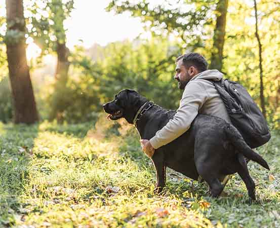 Remember to carry all the articles your dog regularly uses, such as food and water bowls, leash and collar, and a few toys to keep them engaged.