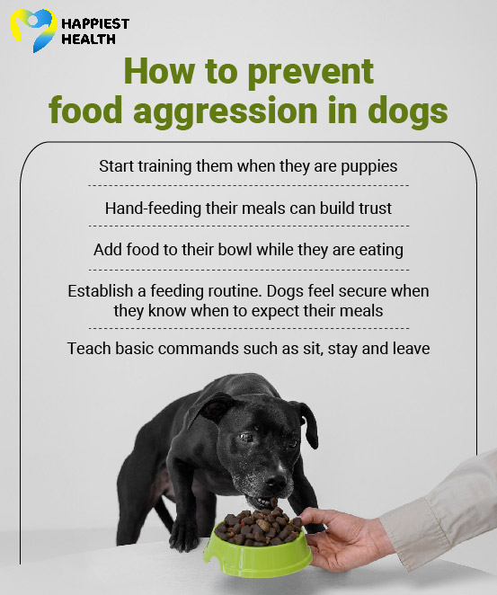 How to prevent food aggression in dogs