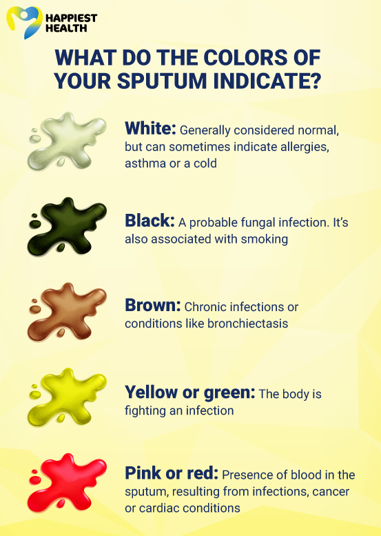 Sputum can be of different colors, which can provide crucial insights into one’s health 